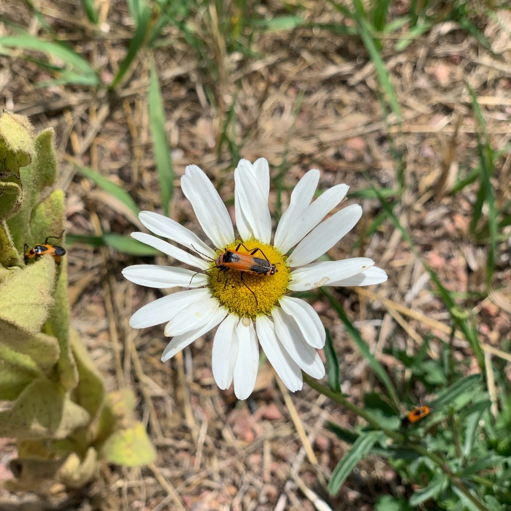 Meet your Posher, Andra